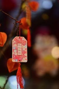 chắn di động Kubet